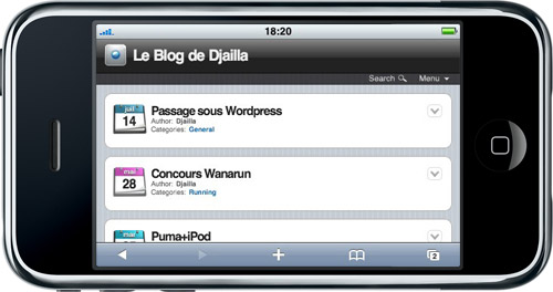 Blog Version iPhone