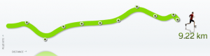 Graphique Nike+ - 33ème sortie