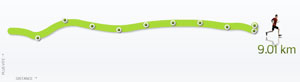 29ème Sortie - Graphique Nike+ 29ème Sortie - Graphique Nike+