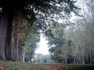 Parc de Saint Cloud - Forêt