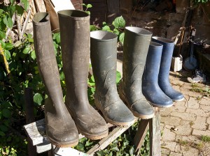 Bottes