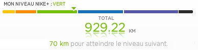 Nike+ - Niveau Bleu