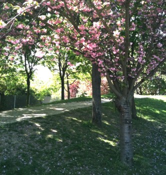 Parc Suzanne Lenglen